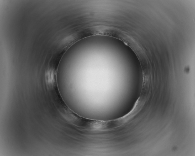 X0000102830094200808181334