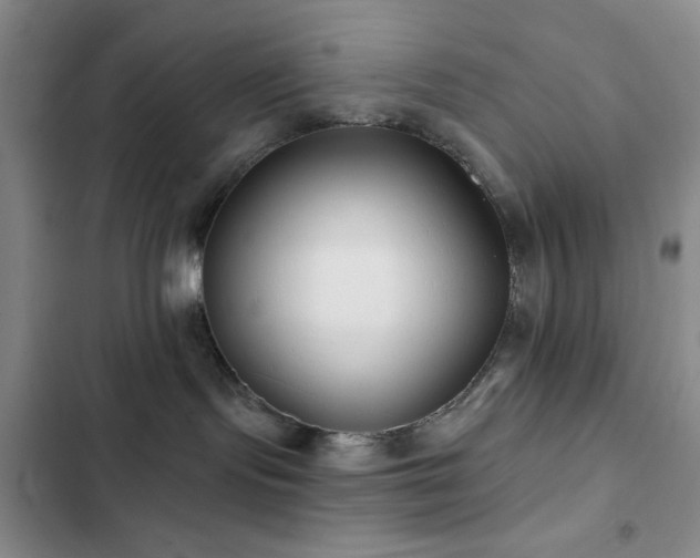 X0000102830095200808181334