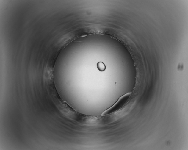 X0000102830096200808181334