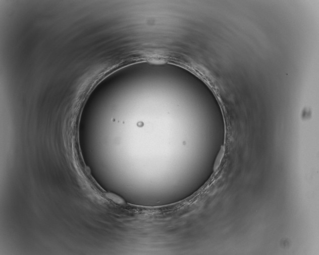 X0000102830097200808181334