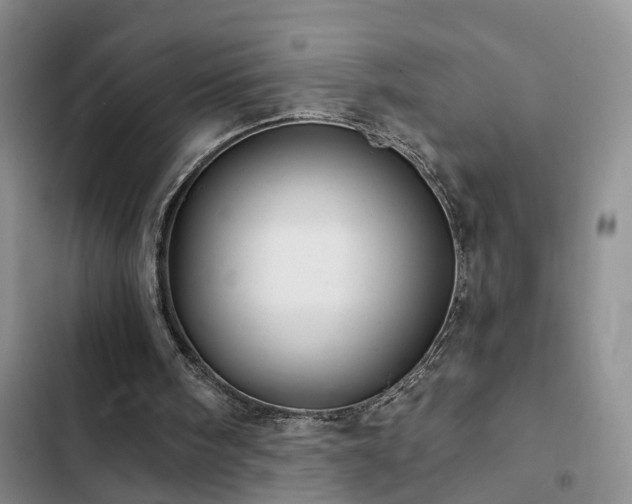 X0000102830098200808181334