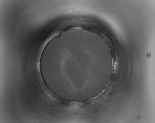 X0000102830099200808181334