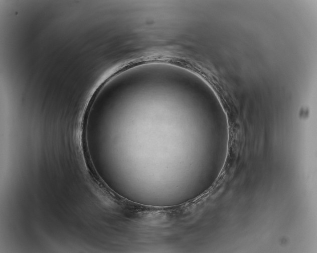 X0000102830100200808181334