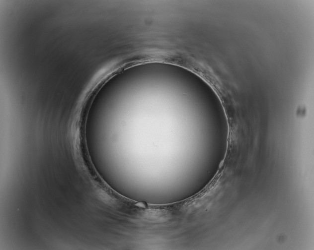 X0000102830101200808181333