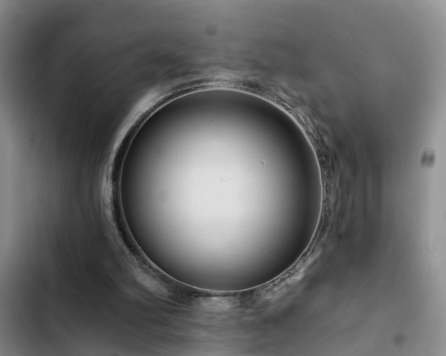 X0000102830102200808181333