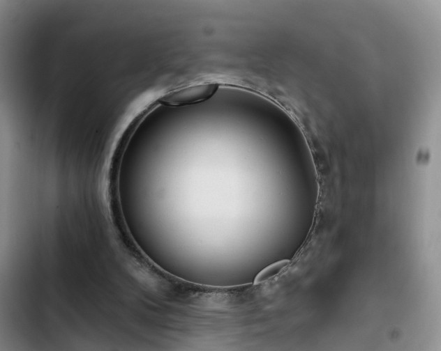 X0000102830104200808181333