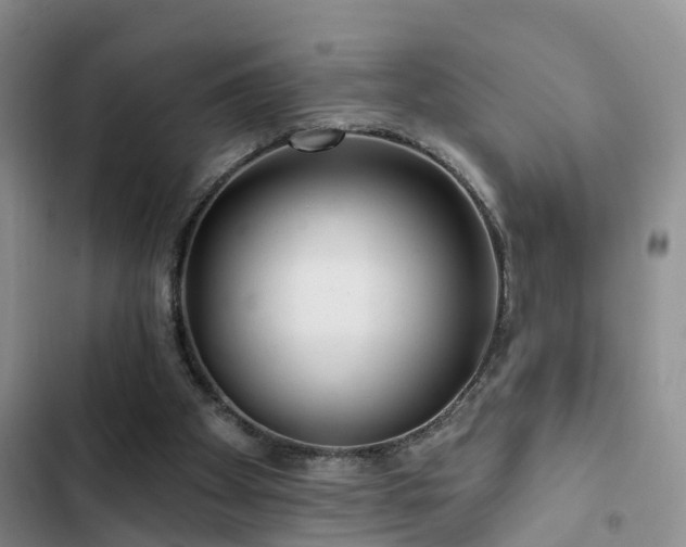 X0000102830105200808181333