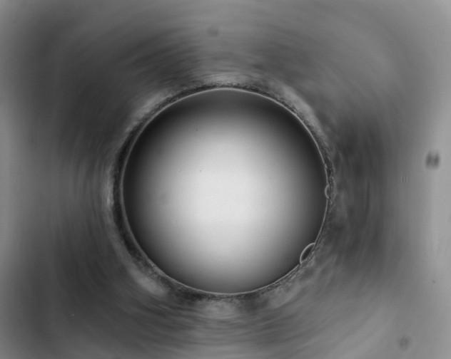 X0000102830106200808181333