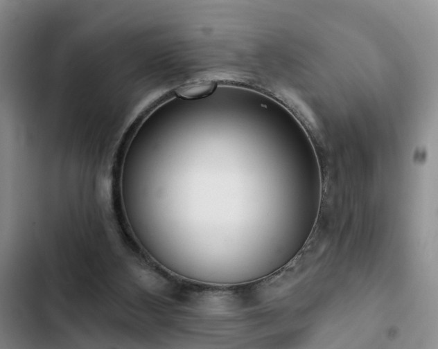 X0000102830108200808181333