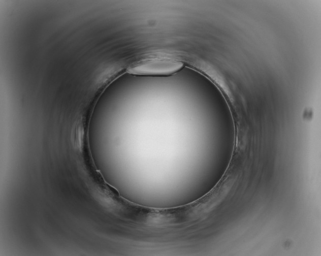 X0000102830109200808181333