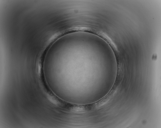 X0000102830110200808181333