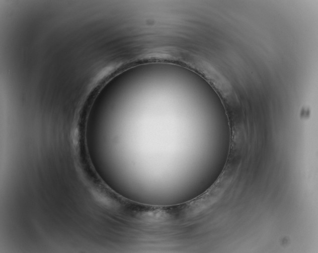 X0000102830112200808181333