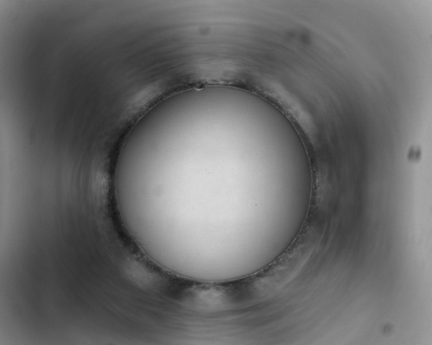 X0000102830113200808181333