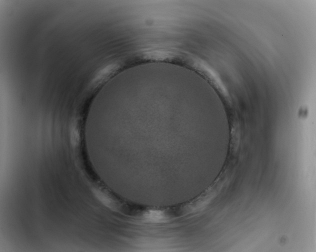 X0000102830114200808181333