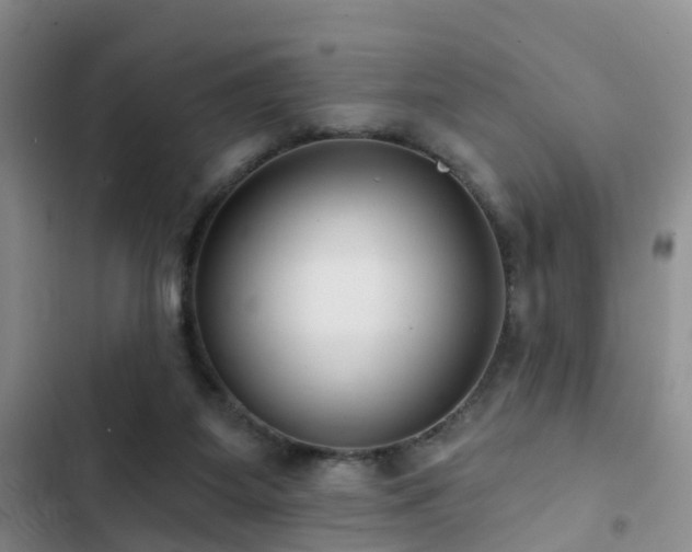 X0000102830115200808181333