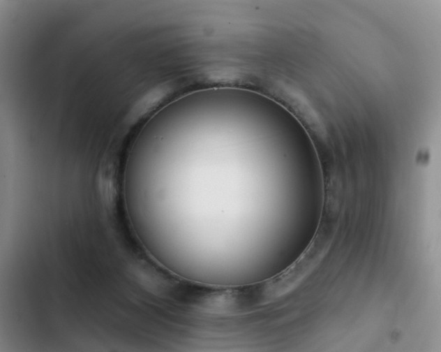 X0000102830116200808181333