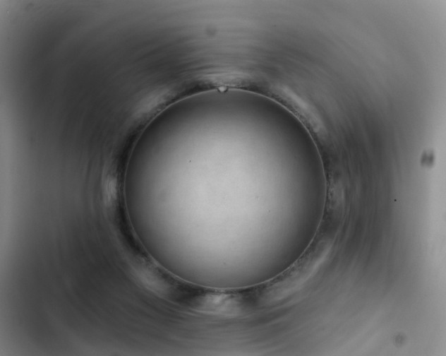 X0000102830117200808181333