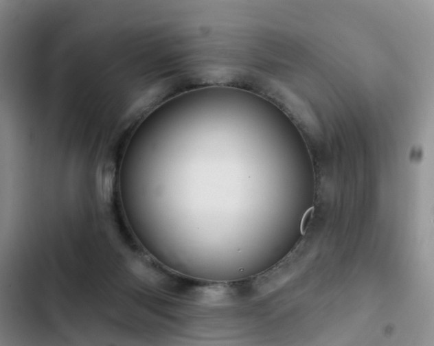 X0000102830118200808181333