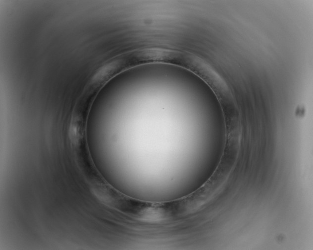 X0000102830119200808181333