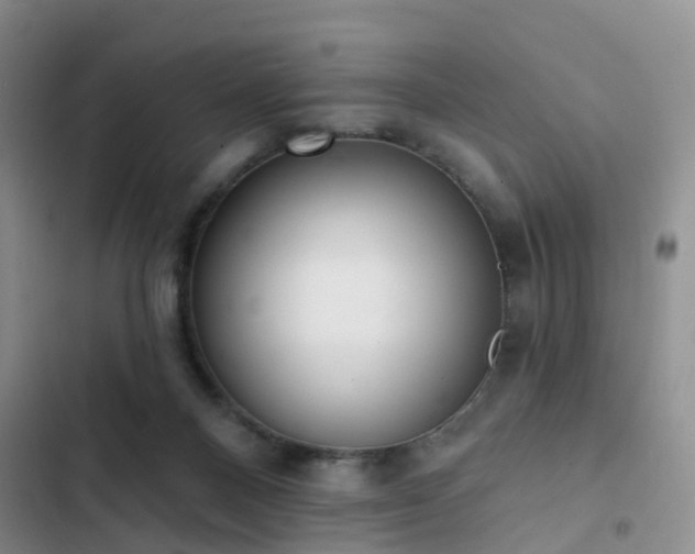 X0000102830120200808181333