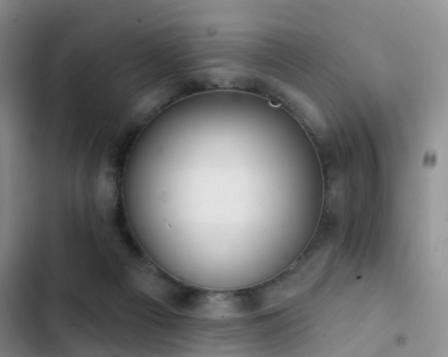 X0000102830121200808181333