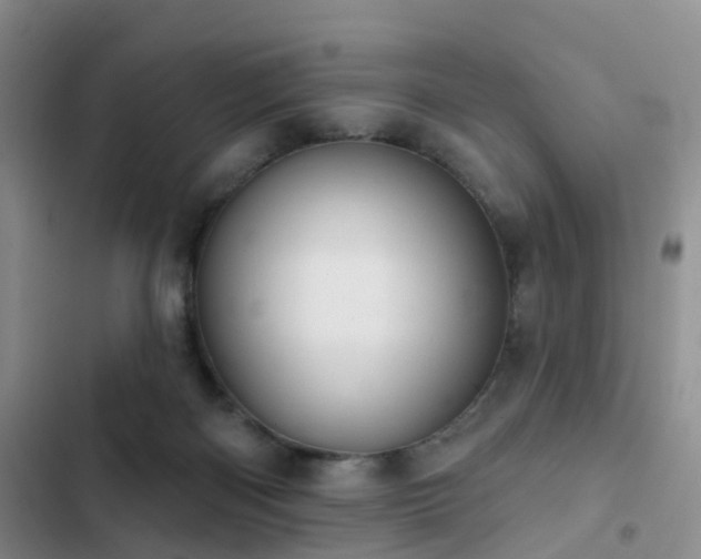 X0000102830122200808181333