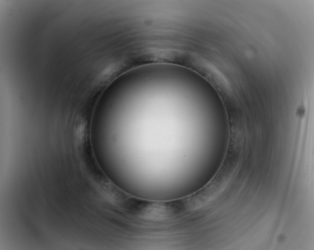 X0000102830123200808181333