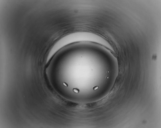 X0000102830124200808181333