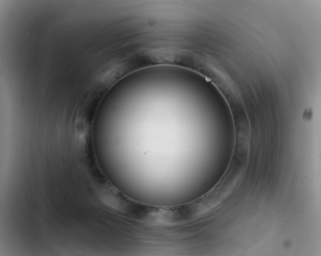 X0000102830125200808181333