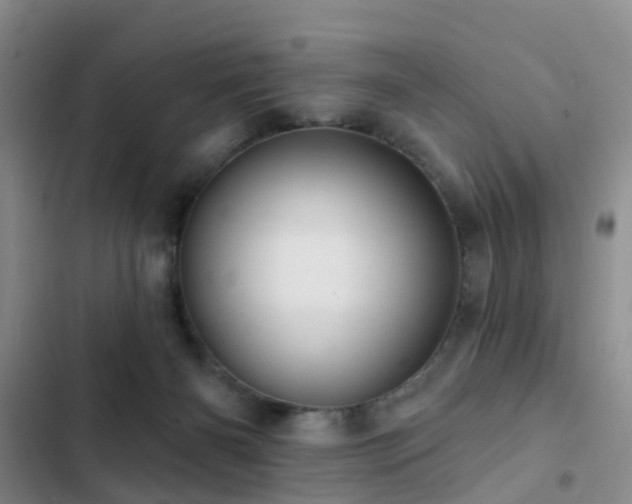 X0000102830126200808181333