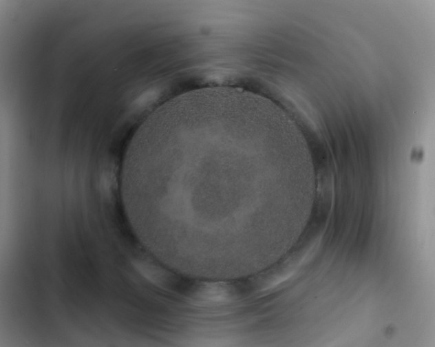 X0000102830127200808181333