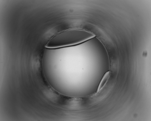 X0000102830128200808181333