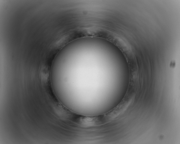 X0000102830129200808181333