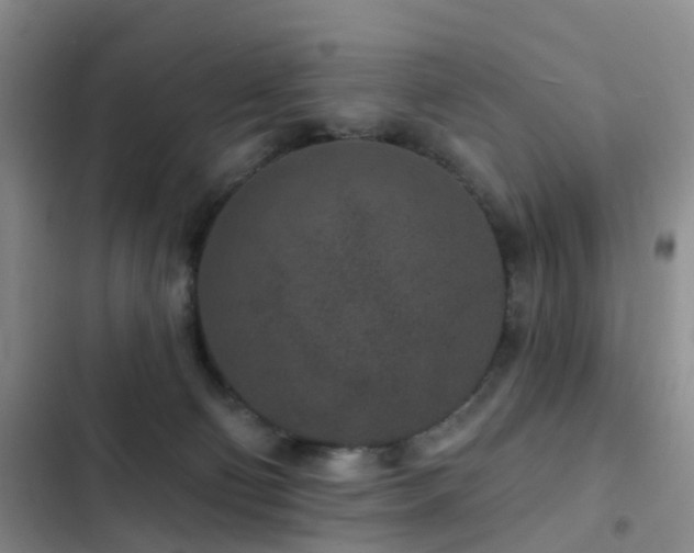 X0000102830130200808181333