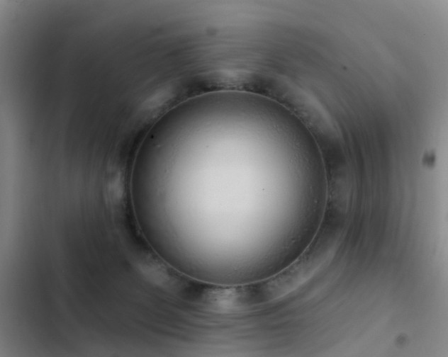 X0000102830131200808181333