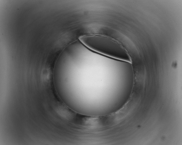 X0000102830132200808181333