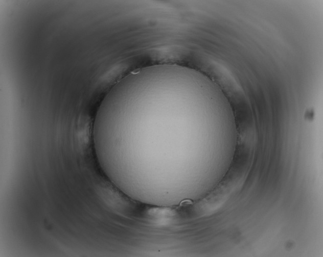 X0000102830133200808181333