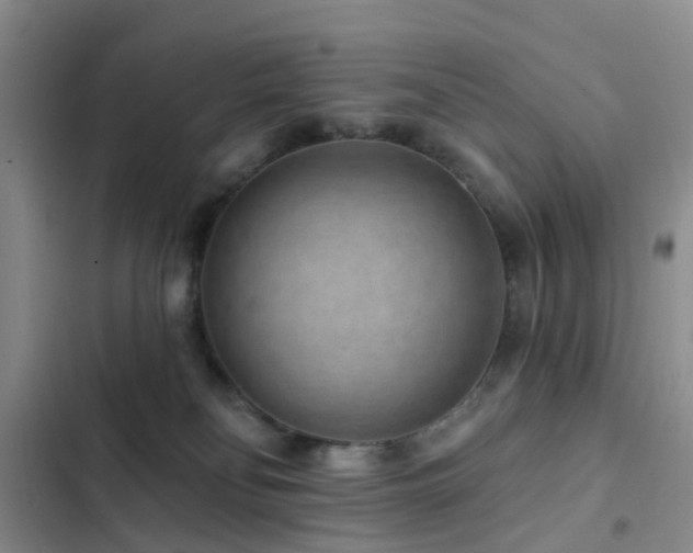 X0000102830134200808181333