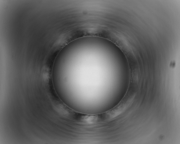 X0000102830135200808181333