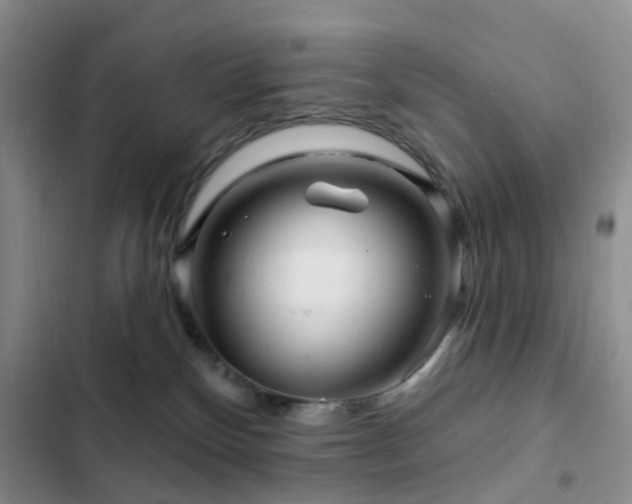 X0000102830136200808181333