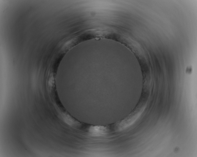 X0000102830137200808181333