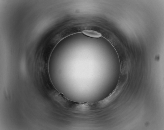 X0000102830140200808181333