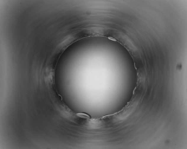 X0000102830141200808181333