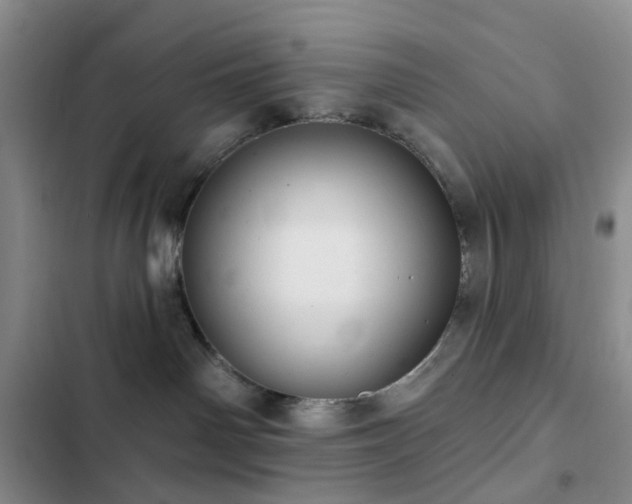 X0000102830142200808181333