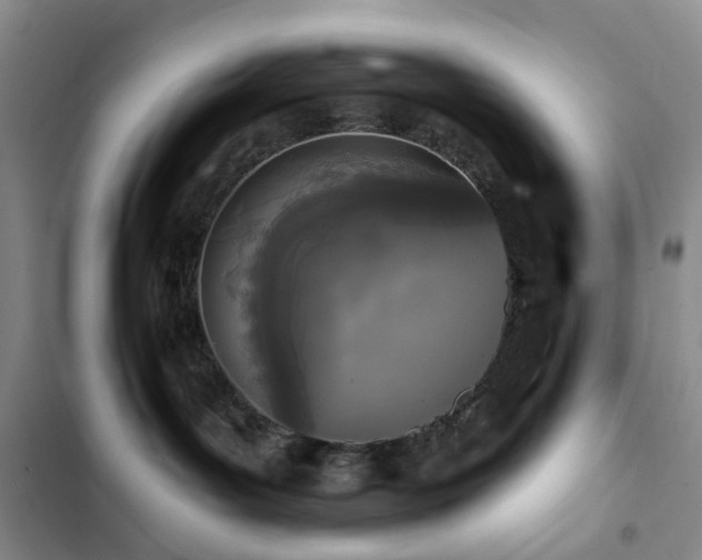 X0000102830143200808181333