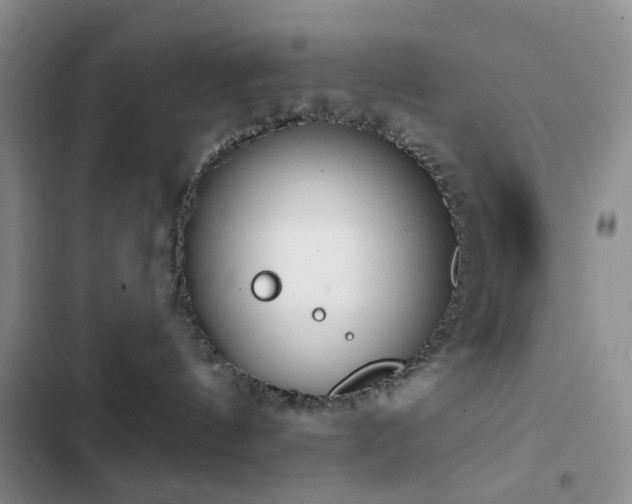 X0000102830144200808181333