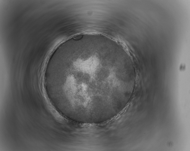 X0000102830145200808181332