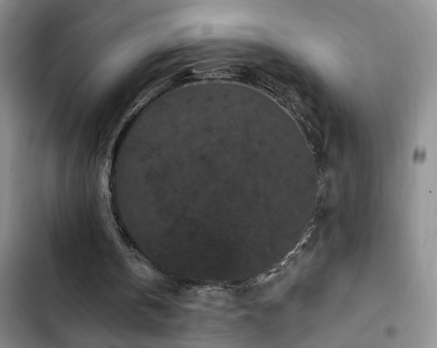 X0000102830146200808181332