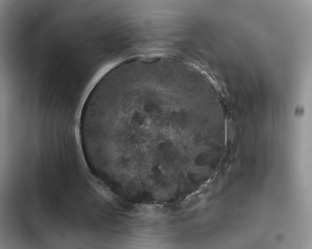 X0000102830147200808181332