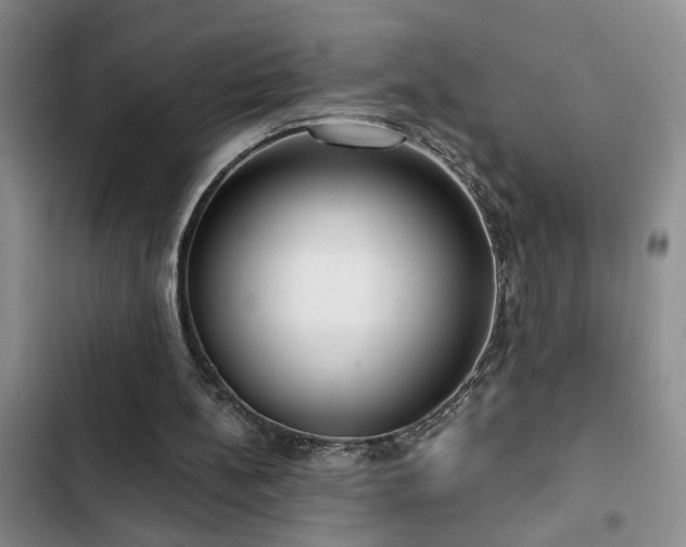 X0000102830148200808181332